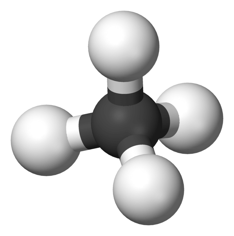 the DNA of a Carcinogen