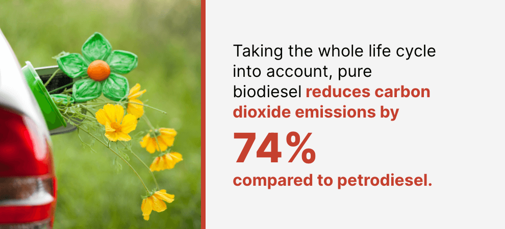 Taking the whole life cycle into account, pure biodiesel reduces carbon dioxide emissions by 74% compared to petrodiesel